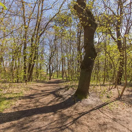 Ihr Zuhause Am Lejlighed Thiessow